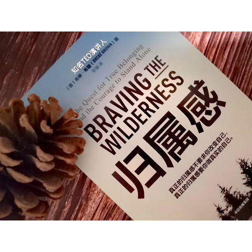 归属感 布琳布朗 著 TED演讲人 简里里作序 王建一推荐 自我挖掘 孤独与归属 中信出版社图书 正版书籍 商品图4