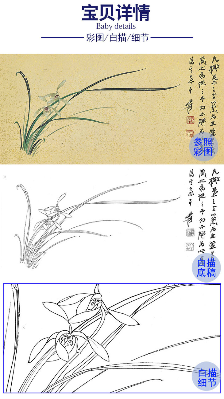 张大千 兰花白描底稿-qd25 工笔底稿商城