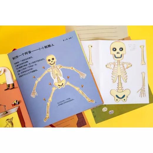 《家庭实验室》揭秘生活中无处不在的科学 8-12岁科学启蒙 商品图4