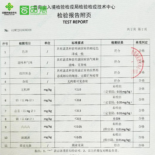 出口级松茸罐头160g/瓶*2瓶 商品图5