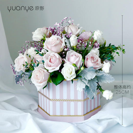 欧美抱抱桶 商品图0