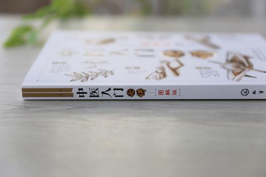中医入门七讲（图解版） 商品图4
