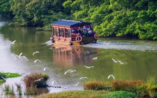 【部门活动15人起订】小鸟天堂+圭峰山红叶+梅州大院+浸泡康桥温泉悠闲江门2天温泉之旅 商品图3