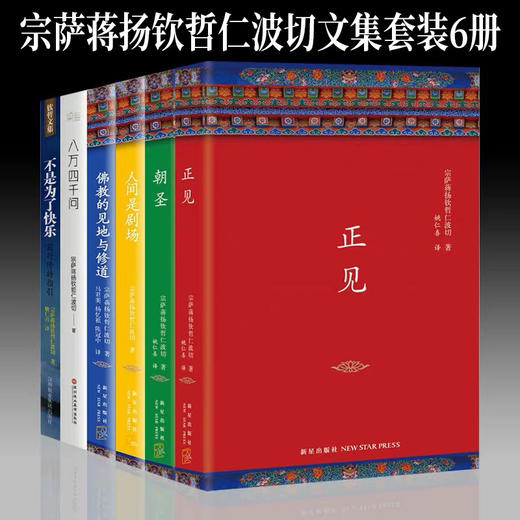 正版 宗萨蒋扬钦哲仁波切文集 正见/佛教的见地与修道/朝圣/不是为了快乐/人间是剧场/八万四千问(平) 钦哲文集 6册 商品图2