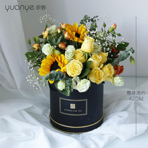 欧美抱抱桶 商品图0