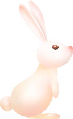 测试限购2 商品图0