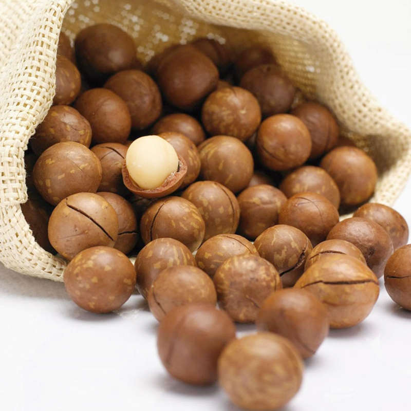 云南坚果夏威夷果开口笑礼盒装   168g×10袋