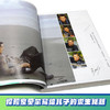 荒野求生少年生存小说系列（拓展版）共18册 商品缩略图4