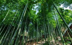 1002莫干山4天3晚定制行程尾款（8人）