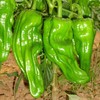 泡椒300g±20g【团购价2.68/份】 商品缩略图0