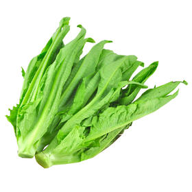 油麦菜1.8斤±50g【团购价7.28元/份】
