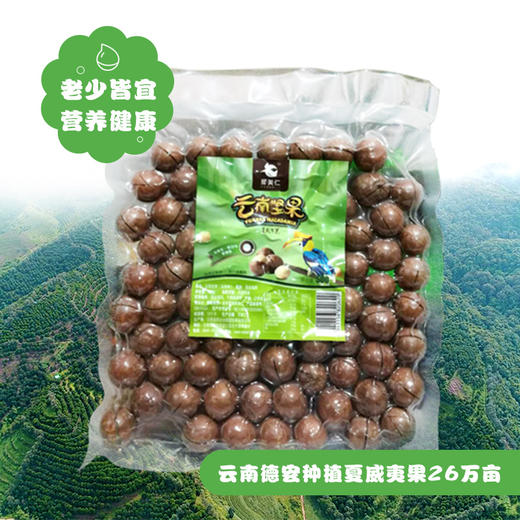 云南坚果开口笑真空袋装 500g 商品图0