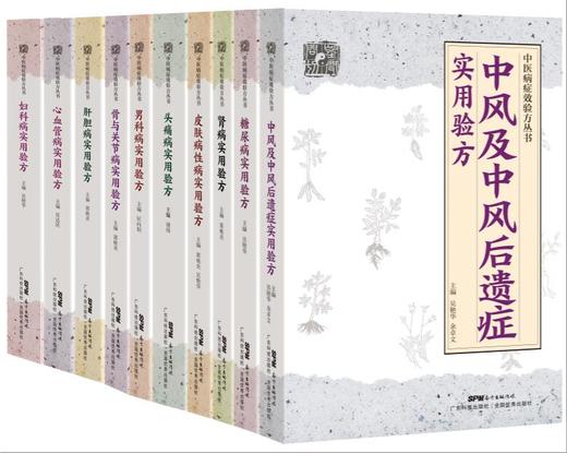 中医病症效验方丛书 商品图0