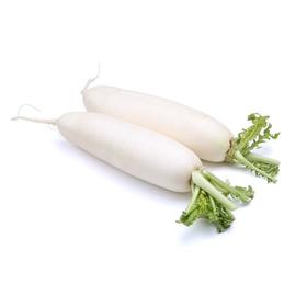 白萝卜5斤±150g【团购价8.99元】