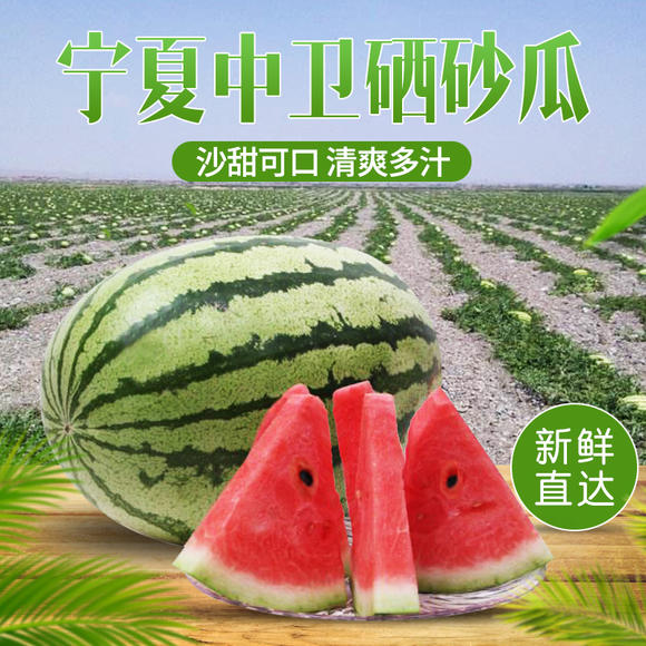 当日鲜-宁夏中卫富硒沙瓤西瓜 水果新鲜压砂瓜很甜