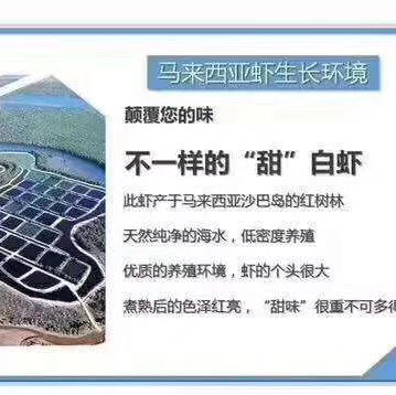 马来虾皇1.5kg，活冻生虾🦐个头超大有一只手掌大，味鲜嫩弹，壳薄虾肥，只卖虾不卖冰渣 商品图10