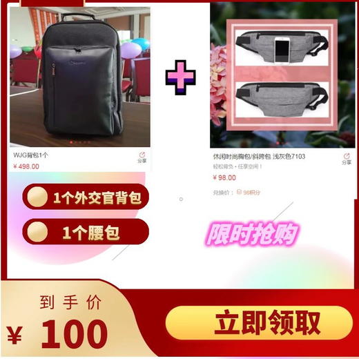 100元专享-WJG背包+腰包 商品图0