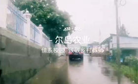 致敬乡村教师