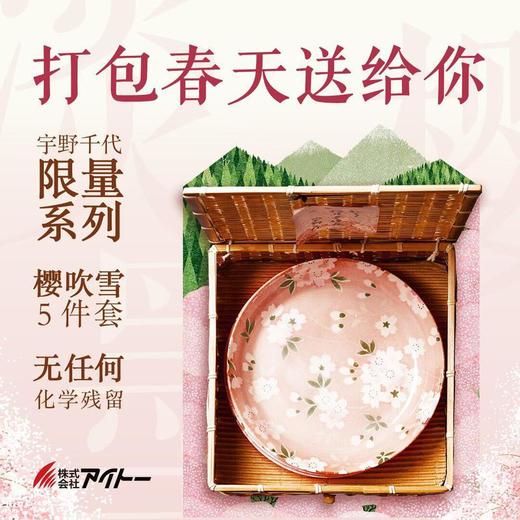 日本原产AITO宇野千代樱吹雪美浓烧陶瓷盘竹笼礼盒5件套 商品图0