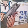 马来虾皇1.5kg，活冻生虾🦐个头超大有一只手掌大，味鲜嫩弹，壳薄虾肥，只卖虾不卖冰渣 商品缩略图9