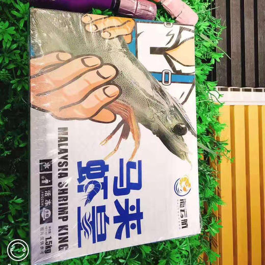 马来虾皇1.5kg，活冻生虾🦐个头超大有一只手掌大，味鲜嫩弹，壳薄虾肥，只卖虾不卖冰渣 商品图6