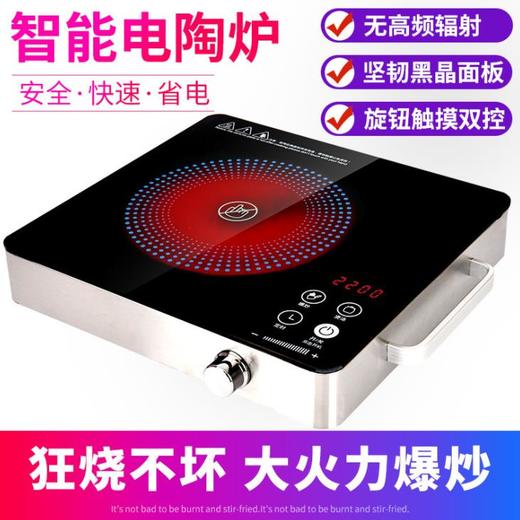 【电陶炉】睿普智能电陶炉无辐射不挑锅2200W触摸屏大功能家用电热火锅炉 商品图0