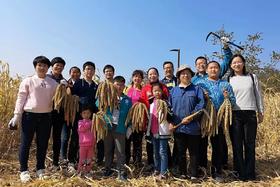  旅游攻略 | 国庆节哪儿都挤，去太行山割小米 