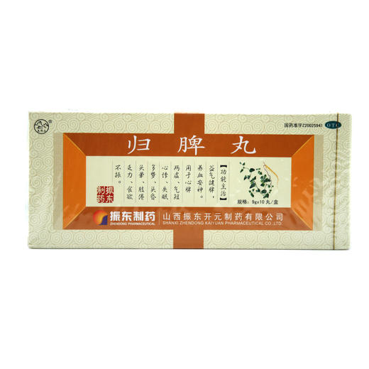 归脾丸  9g*10丸   商品图0