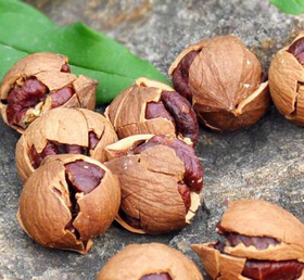 【2019新货】临安山核桃（快递停发）