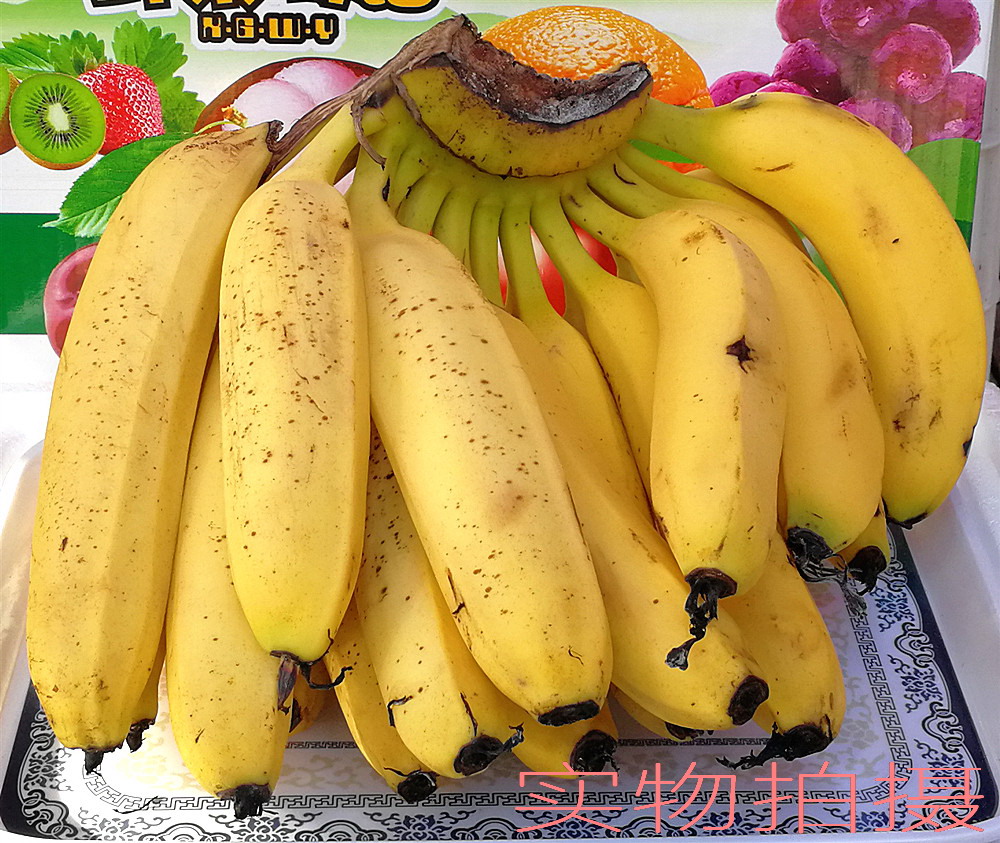 当日鲜-国产新鲜香蕉1000g(±20g) 芝麻蕉 当季新鲜