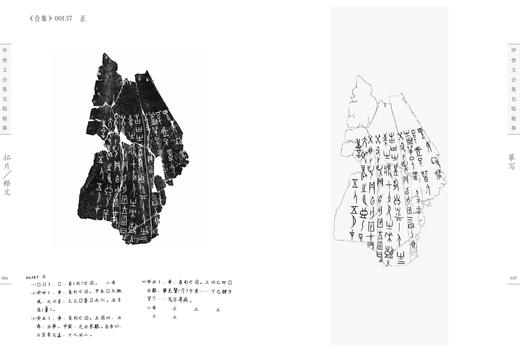 《甲骨文合集名版精摹》 商品图4