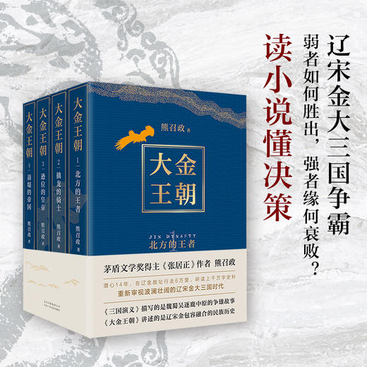 大金王朝 商品图1