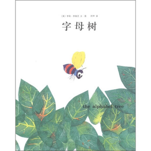 字母树 商品图0