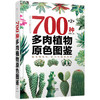 700种多肉植物原se图鉴 第二版 商品缩略图1