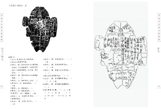《甲骨文合集名版精摹》 商品图5