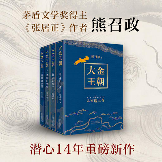 大金王朝 商品图0