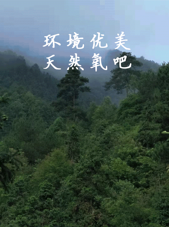除了良好的气候,当地土壤条件还富含硒元素,使得生长出的八月瓜也随之