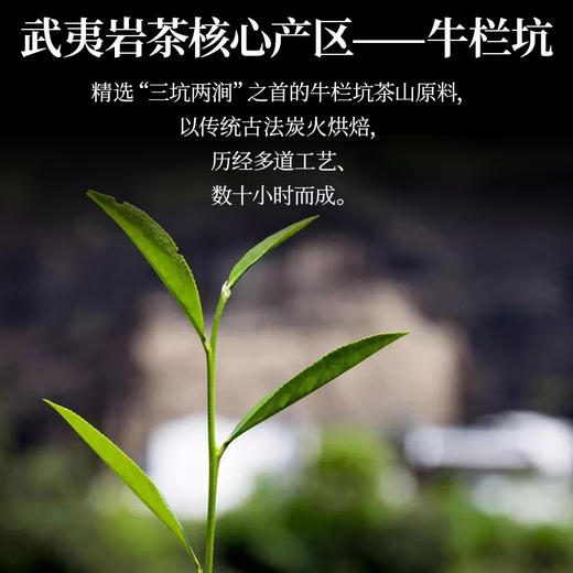 压箱底名山茶 牛栏坑肉桂 武夷岩茶 10泡礼盒装 商品图2