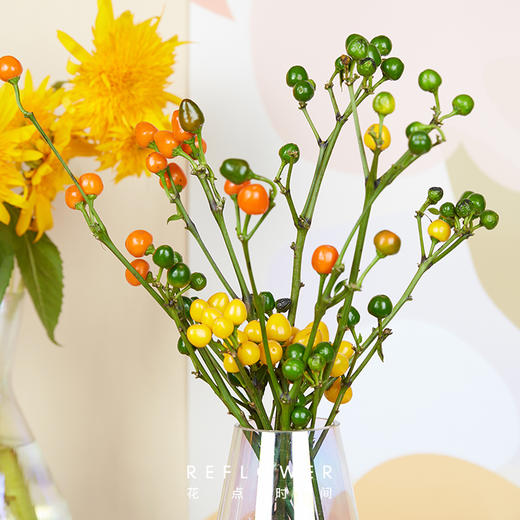 【悠长假期-C款】含4款花材（进口郁金香5枝+缤纷彩色辣椒3枝+泰迪向日葵3枝+秋绣球2枝） tp 商品图1