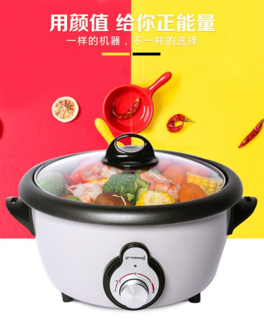 grossag德国格罗赛格可拆卸电火锅 商品图1