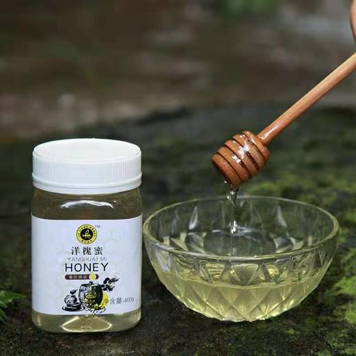 土蜂蜜洋槐蜜 460g*1 -包邮 商品图1