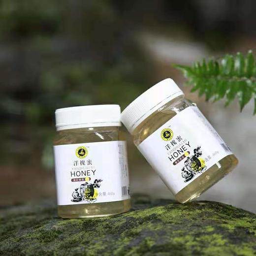 土蜂蜜洋槐蜜 460g*1 -包邮 商品图2