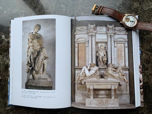 《谁在观看米开朗琪罗》——文艺复兴巨匠系列，作者：【美】伯纳丁·巴恩斯（Bernadine Barnes） 商品图1