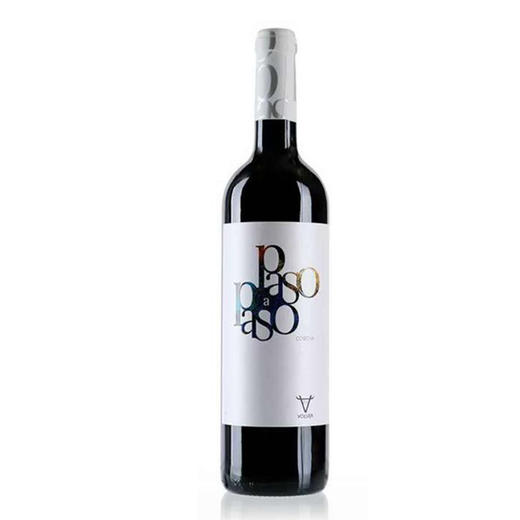 西班牙帕索科斯卡红葡萄酒750ml 商品图0
