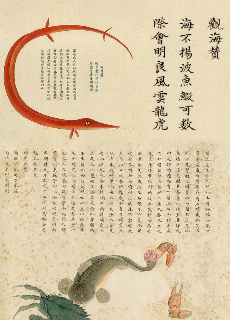 海错图笔记