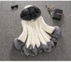BC-D1507155秋冬新款狐狸毛仿皮草外套 商品缩略图0