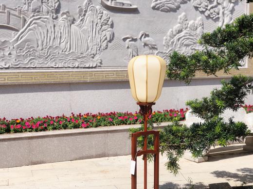 红桥红 家具严选  缅甸花梨(大果紫檀）  【宫灯】 商品图3