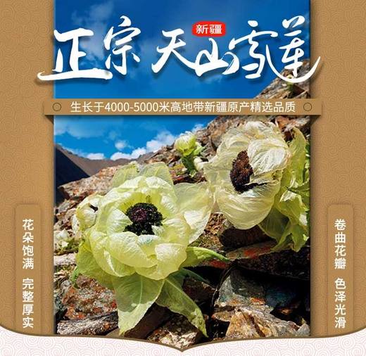 新疆正宗天山大雪莲 商品图0