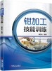 钳加工技能训练 商品缩略图0