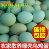 舌尖上的玉食 新鲜乌鸡蛋绿壳蛋30枚包邮破损包赔 20-60枚可选 商品缩略图0